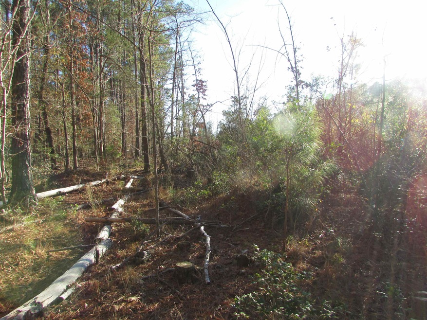 Lot 3 Lutterloh Rd, Pittsboro, NC 27312 - photo 1