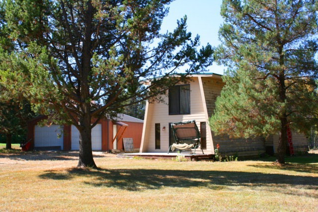 Main View