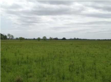 4 Fournerat Rd, Eunice, LA 70535 - photo 1