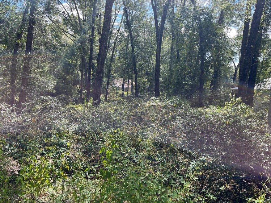 00 SW 101st Place Rd, Dunnellon, FL 34432 - photo 1