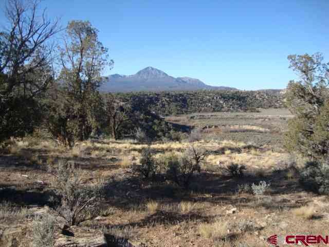 0 Road 23 unit 663918, Cortez, CO 81321 - photo 1