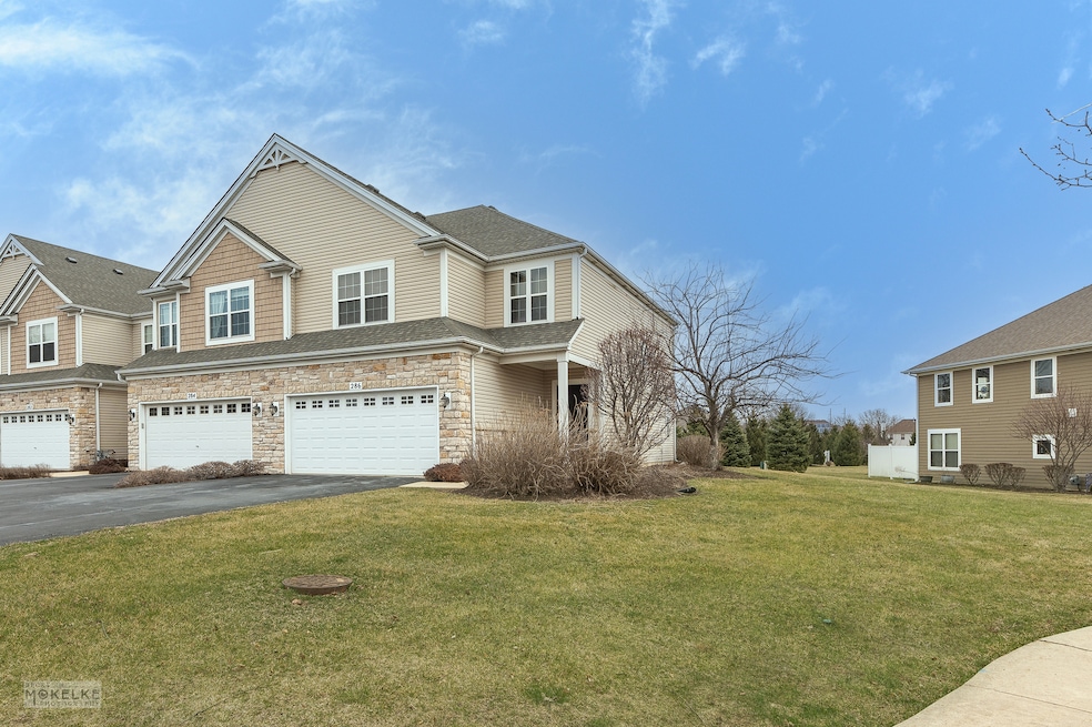 286 Wolverine Dr, Oswego, IL 60543 - photo 1