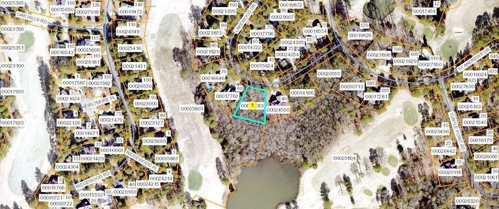 Satellite View