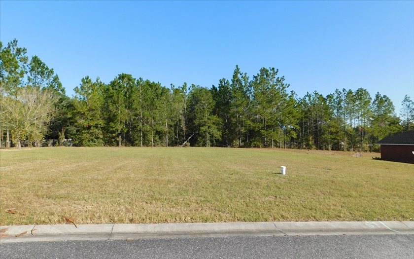 0 NW River Sebastian Ln, Lake City, FL 32055 - photo 1