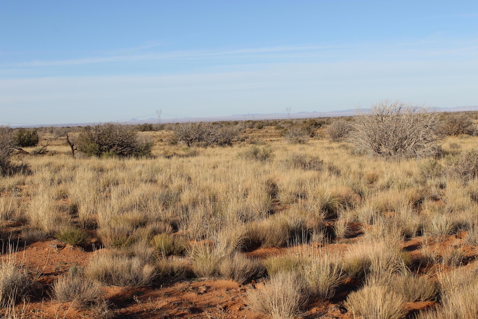 Lot 224 Ccr - Unit 224, Heber, AZ 85928 - photo 1