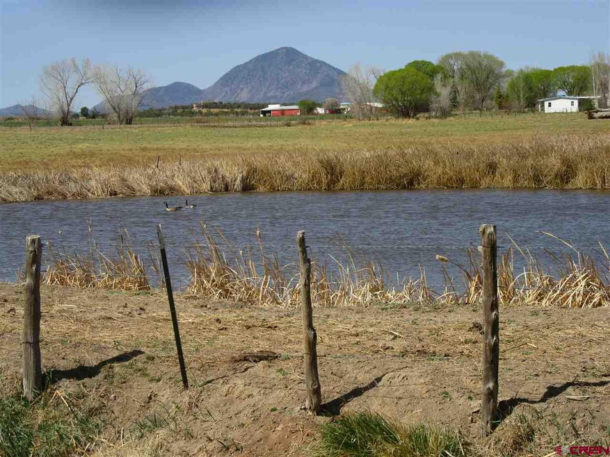 TBD Road L (114 26 Ac), Cortez, CO 81321 - photo 1
