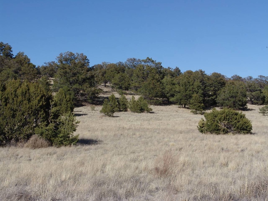 172 Windmill Cir, Datil, NM 87821 - photo 1