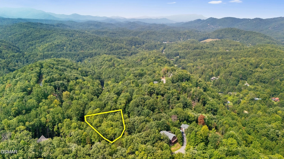 L 10/11 Bluebird Ridge Way, Sevierville, TN 37876 - photo 1