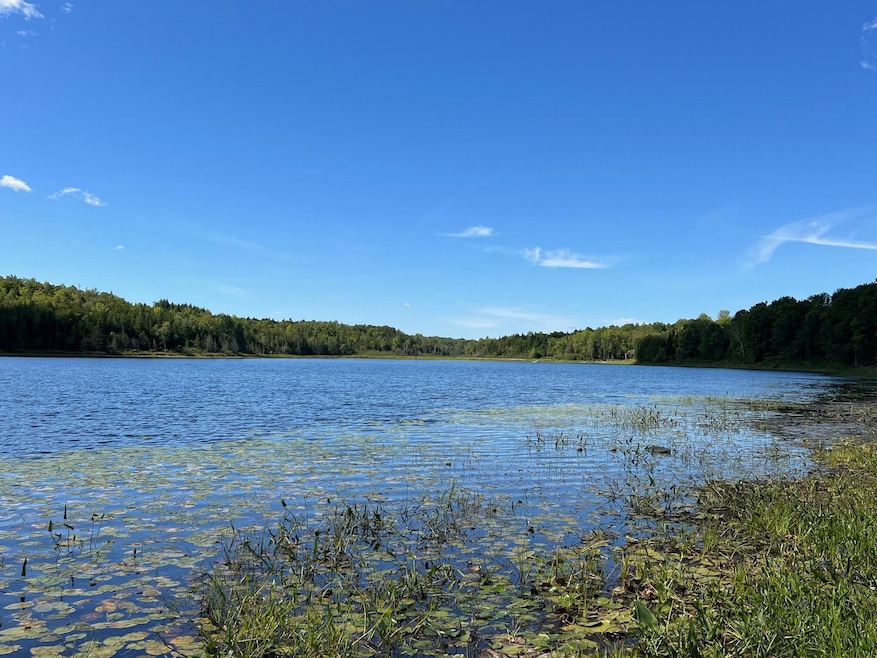 16 Dexter Rd, Garland, ME 04939 - photo 1