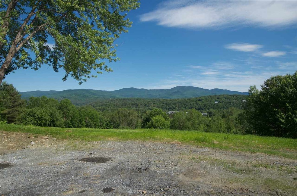 289 Cottage Club Rd unit Lot 3, Stowe, VT 05672 - photo 1