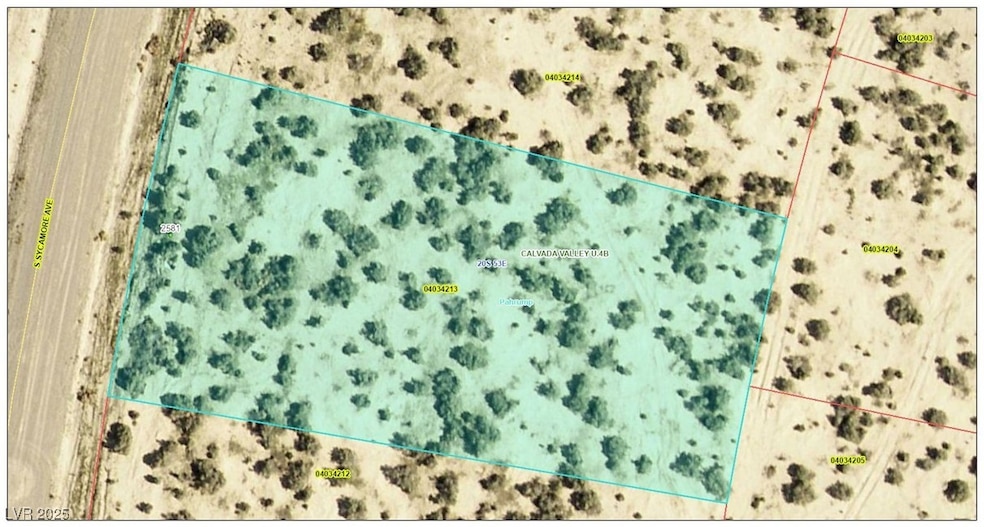 2581 S Sycamore Ave, Pahrump, NV 89048 - photo 1