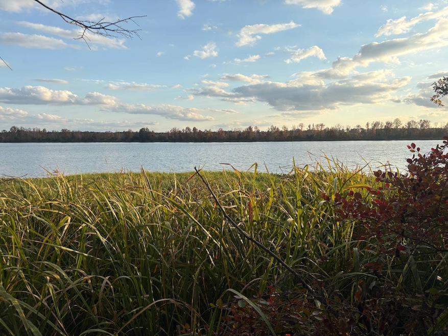 106a Calico Ct, Alberta, AL 36720 - photo 1