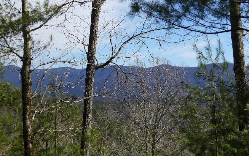Main View