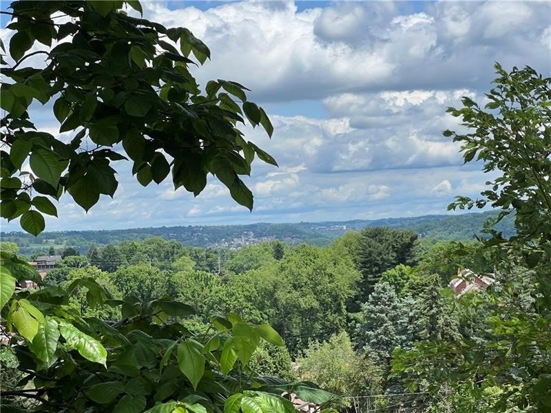 Beautiful view