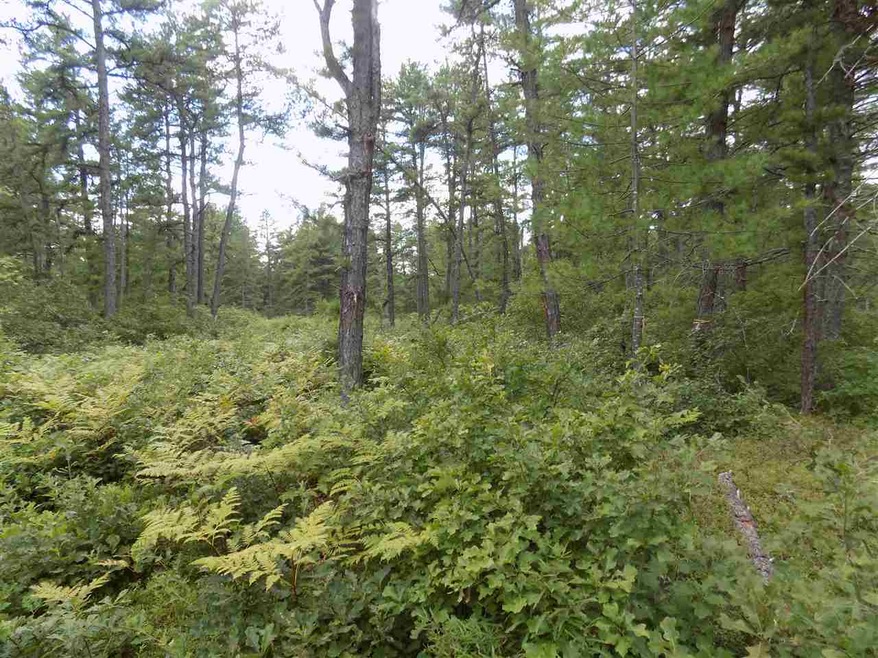 0 Plains Rd unit 6 4774009, Madison, NH 03849 - photo 1