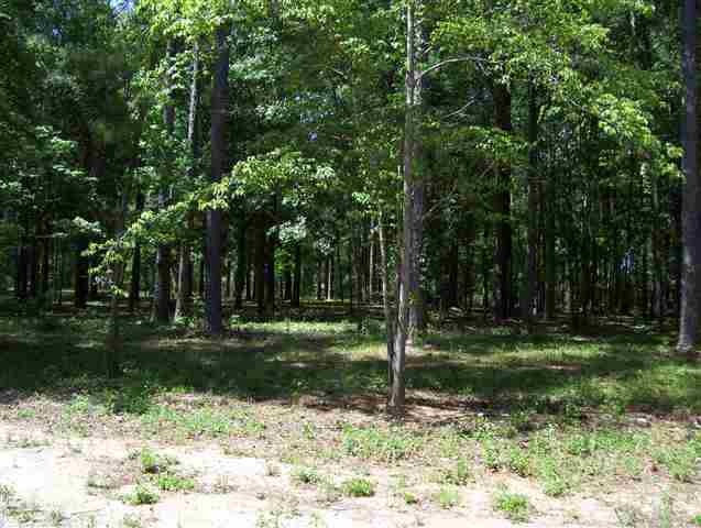 0 Wakulla Arran Rd unit 1 235861, Crawfordville, FL 32327 - photo 1