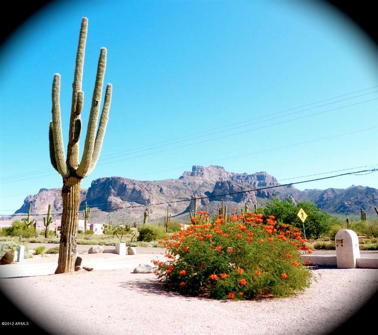 Views from Front Yard!