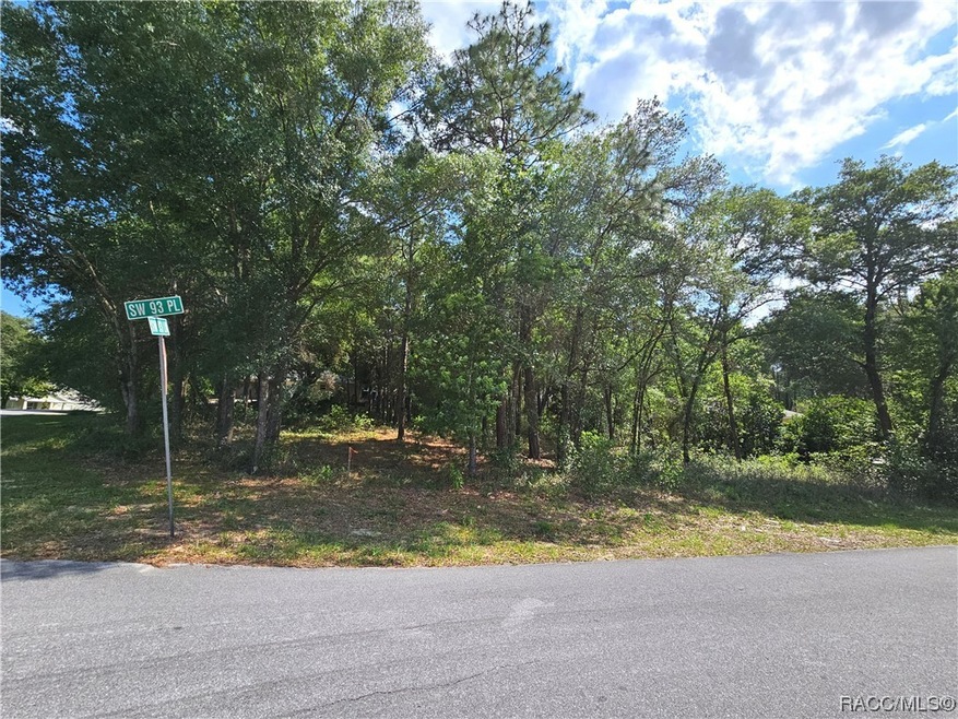 TBD SW 93RD PL, DUNNELLON, FL 34432