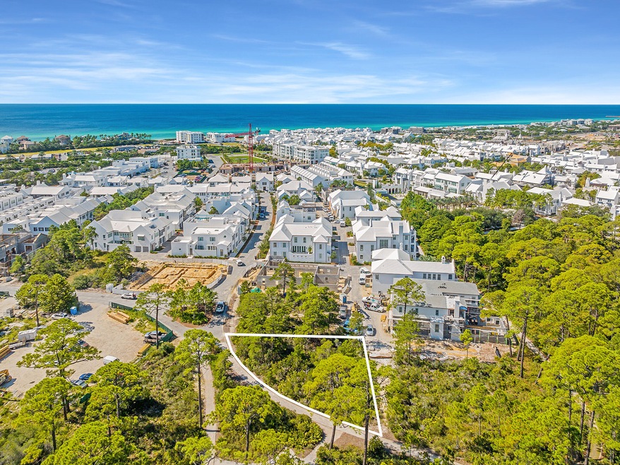 116 Featherbed Aly, Inlet Beach, FL 32461 - photo 1
