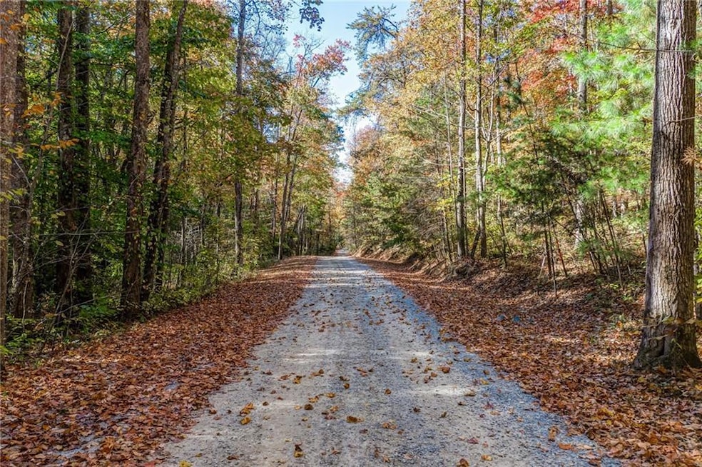View of road