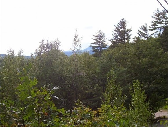 0 Champion Hill Rd unit 4013420, Effingham, NH 03882 - photo 1