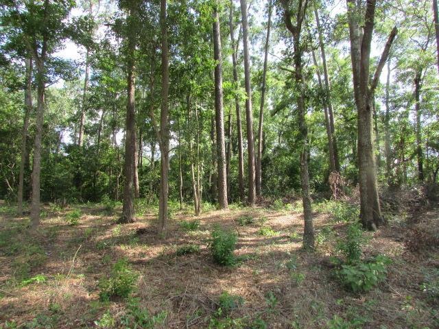 4070 Harts Mill Rd, Pavo, GA 31778 - photo 1