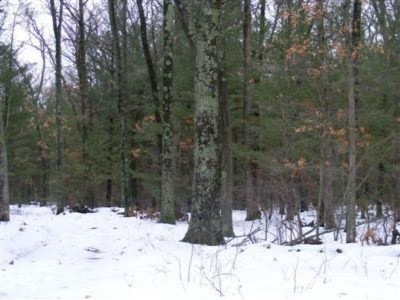 Primary Photo
