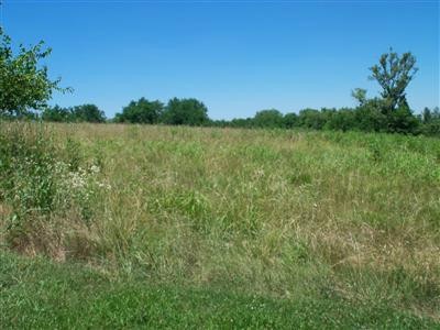 4462 Lexington Rd, Harrodsburg, KY 40330 - photo 1