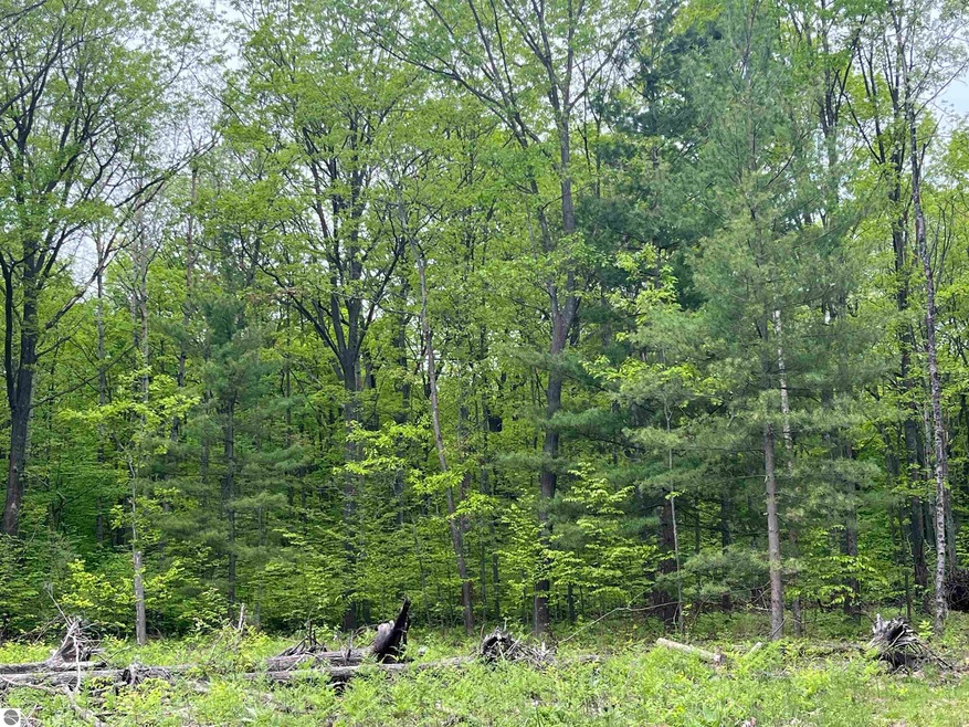 TBD Theron Rd unit D, Traverse City, MI 49685 - photo 1