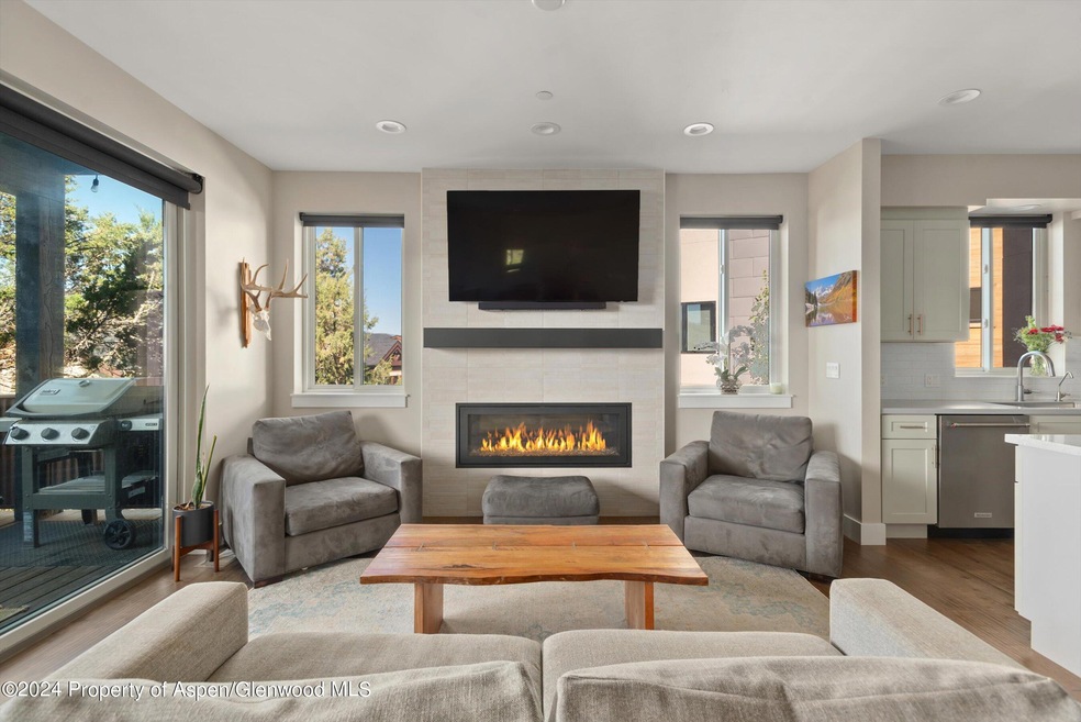 250 Overlook Ridge unit 250, Carbondale, CO 81623 - photo 1