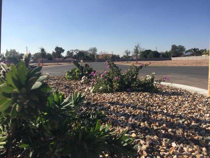 Roundabout Landscape 2