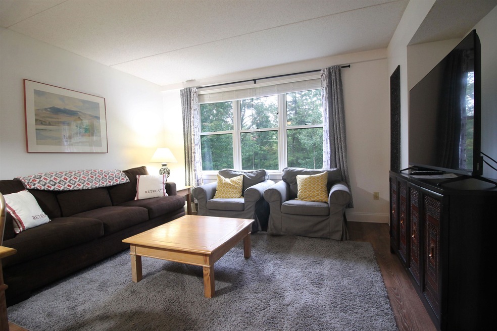 28 Packard Rd S unit 408, Waterville Valley, NH 03215 - photo 1