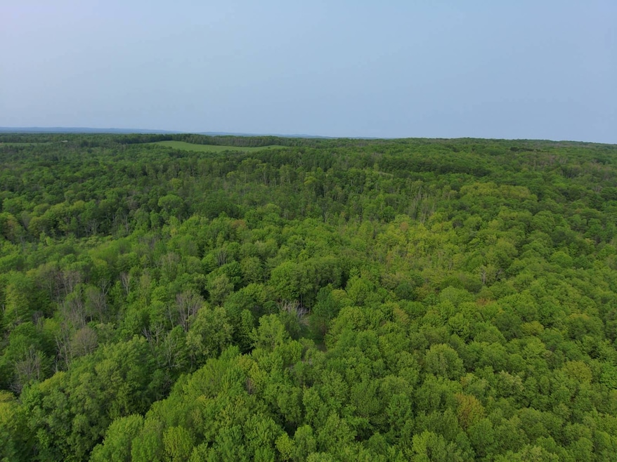 0000 Lynch Rd unit 4, Newport, NY 13416 - photo 1