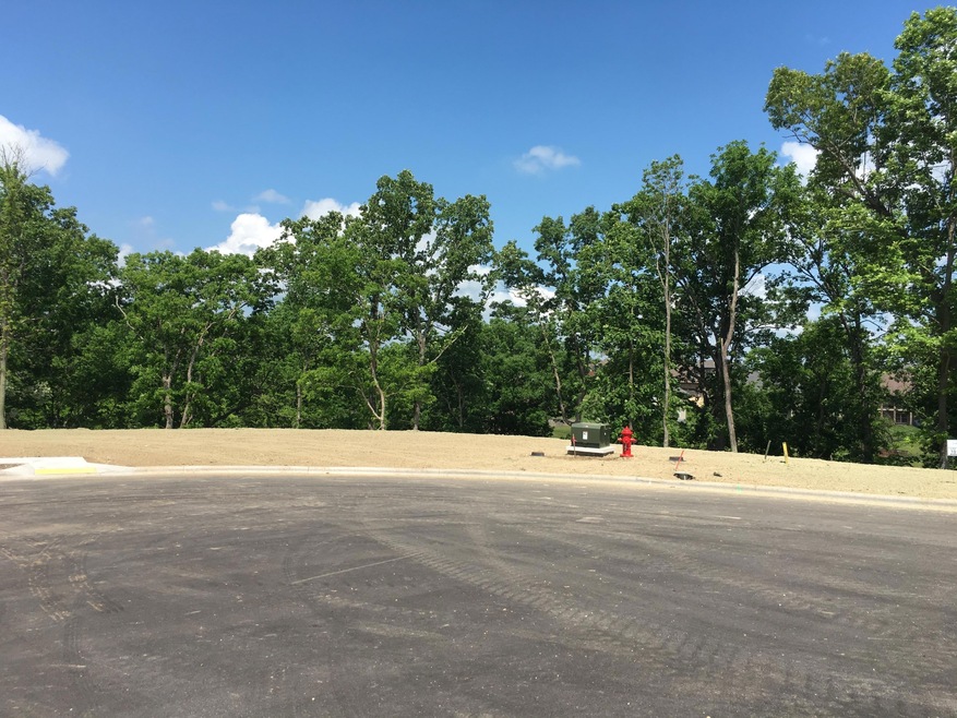 853 E Ashford Ave, Nixa, MO 65714 - photo 1