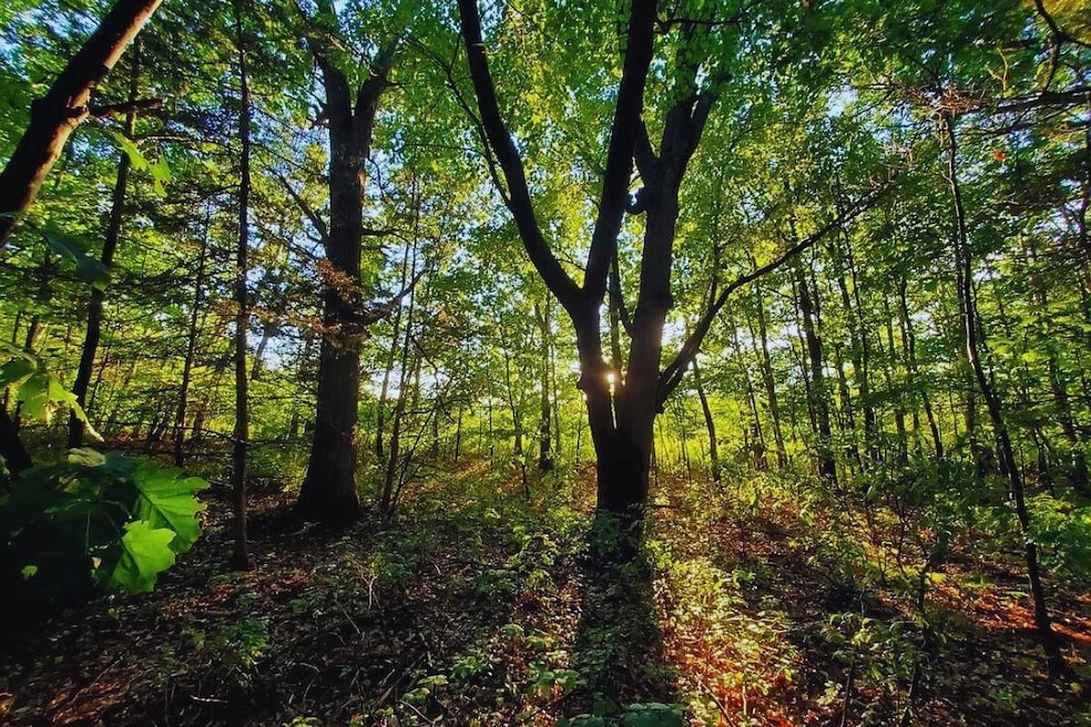 Corner Lucky Jog and Treasure Cove unit Garrison MN 56450, Garrison, MN 56450 - photo 1