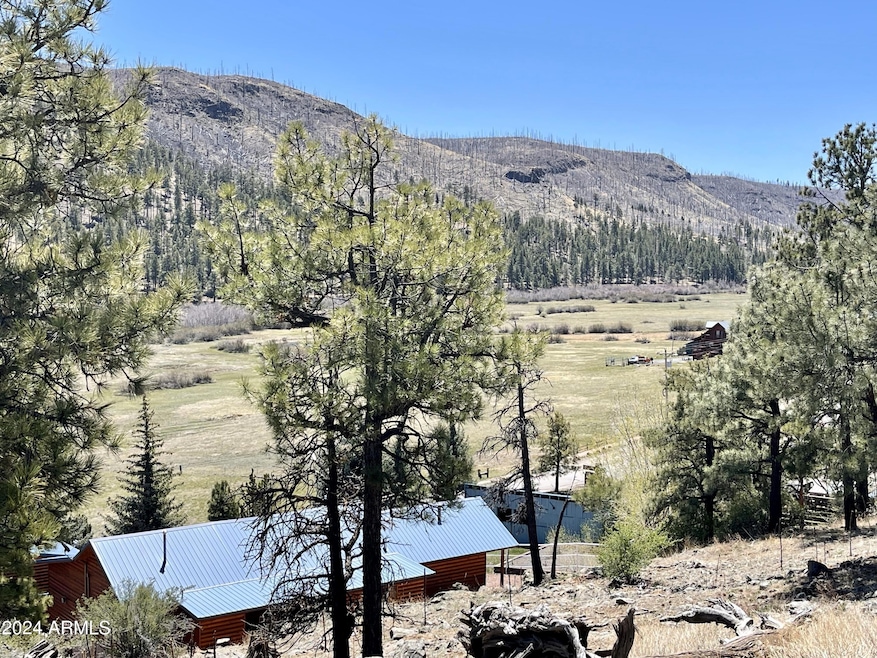 2 E County Road 1013 Rd unit 12, Greer, AZ 85927 - photo 1