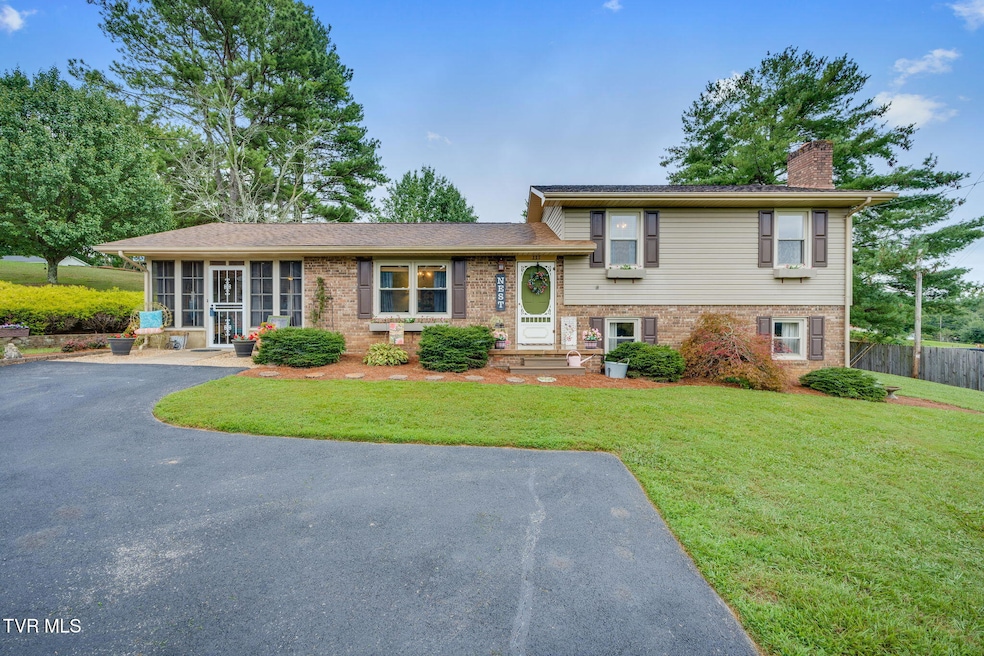 117 Morgan Ln, Fall Branch, TN 37656 - photo 1