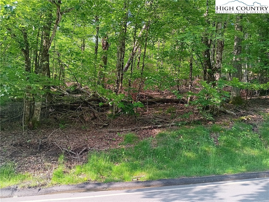 112 Tamarack Rd, Beech Mountain, NC 28604 - photo 1