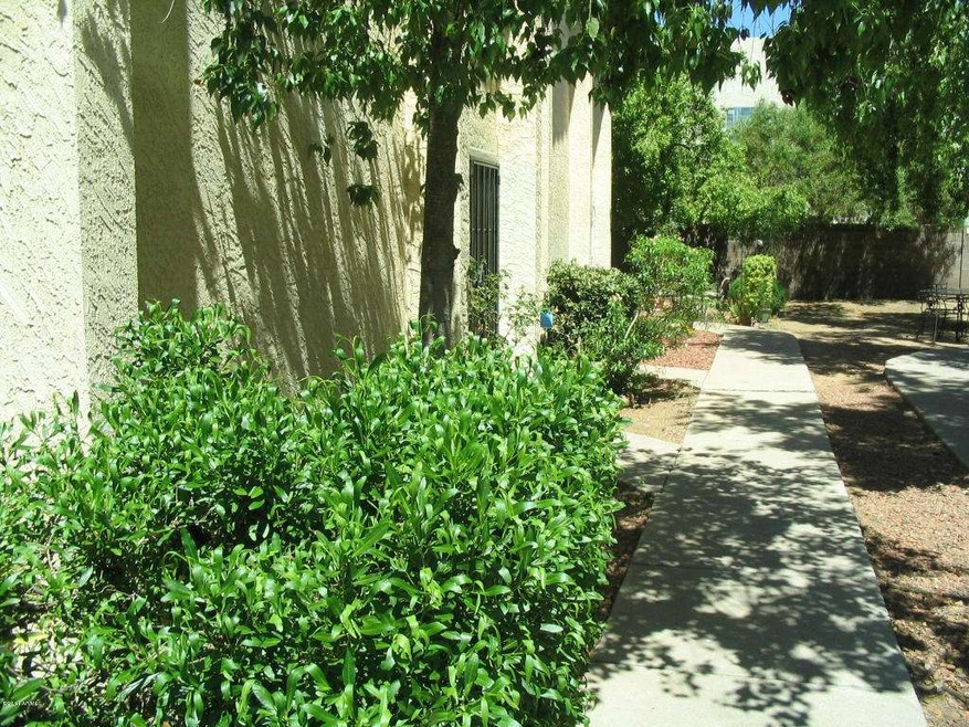 tracy ln 8