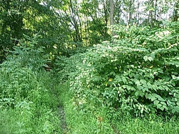 0 Broadway L:5a unit 72136595, Haverhill, MA 01832 - photo 1