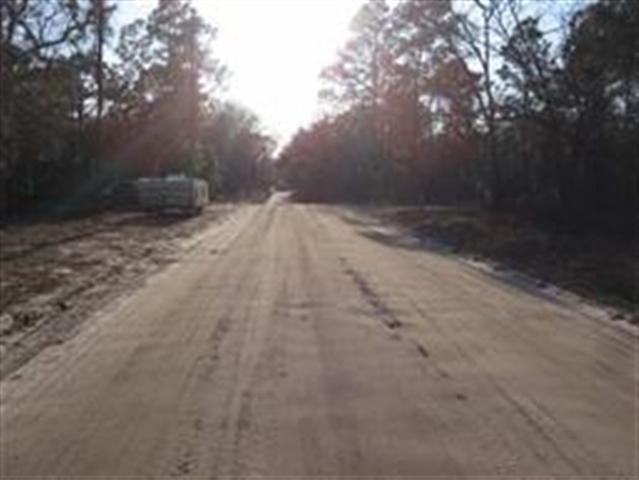 0 King Bee Dr unit 1 216660, Crawfordville, FL 32327 - photo 1