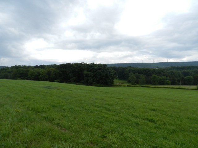 Main View