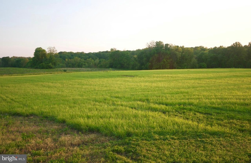 35679 Paxson Rd, Purcellville, VA 20132 - photo 1