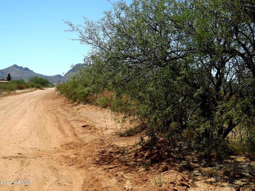 Camino De Mesa 11