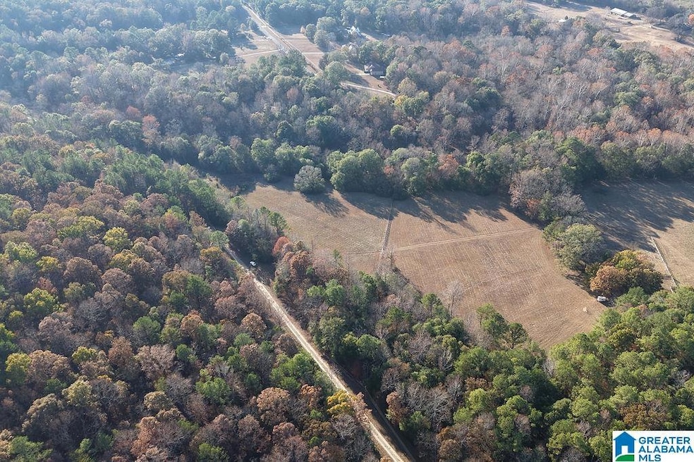 330 County Road 1055, Montevallo, AL 35115 - photo 1