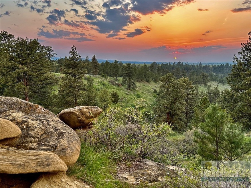 Bryan Anderson Real Estate Agent in Billings, MT