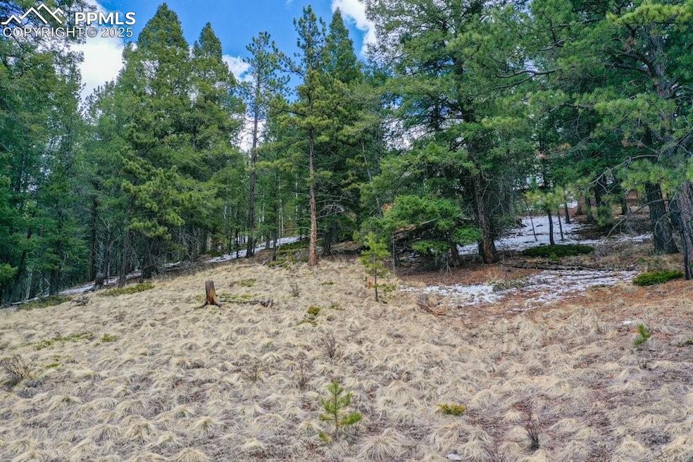 TBD Valley Rd, Divide, CO 60814 - photo 1