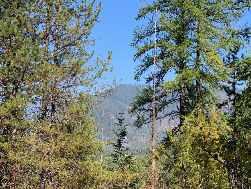 Nhn Whitepine Ln, Trout Creek, MT 59874 - photo 1