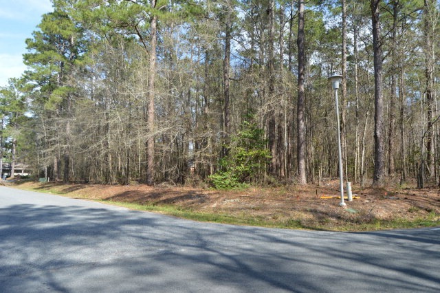 Lot 5 Darlington Rd, Sylvester, GA 31791 - photo 1