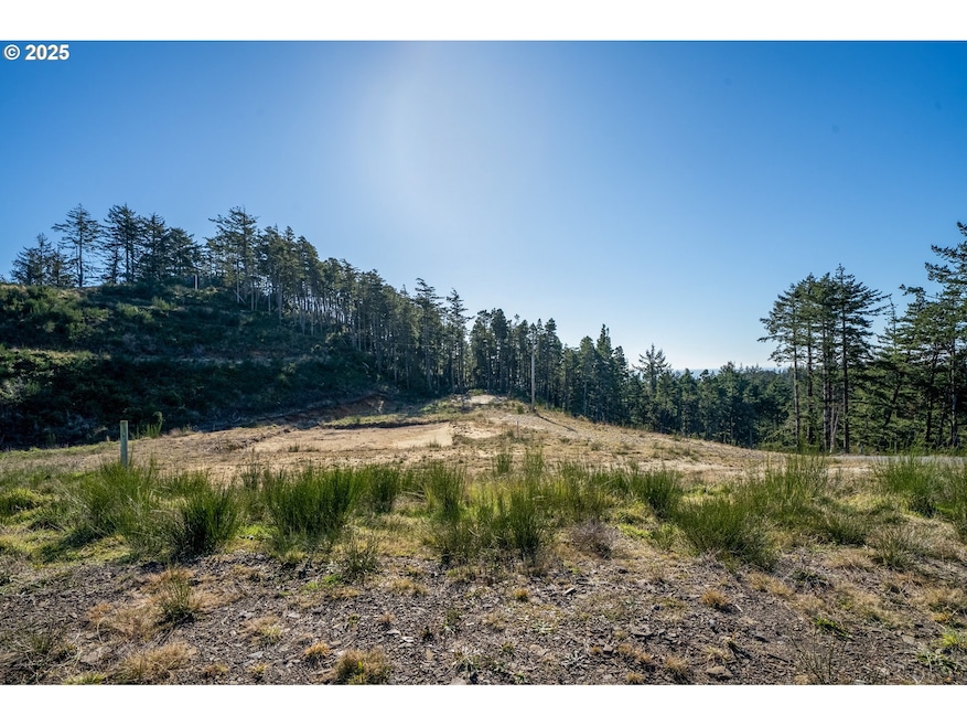 0 Roaring Tides-Lot 4 unit 146623926, Oceanside, OR 97134 - photo 1
